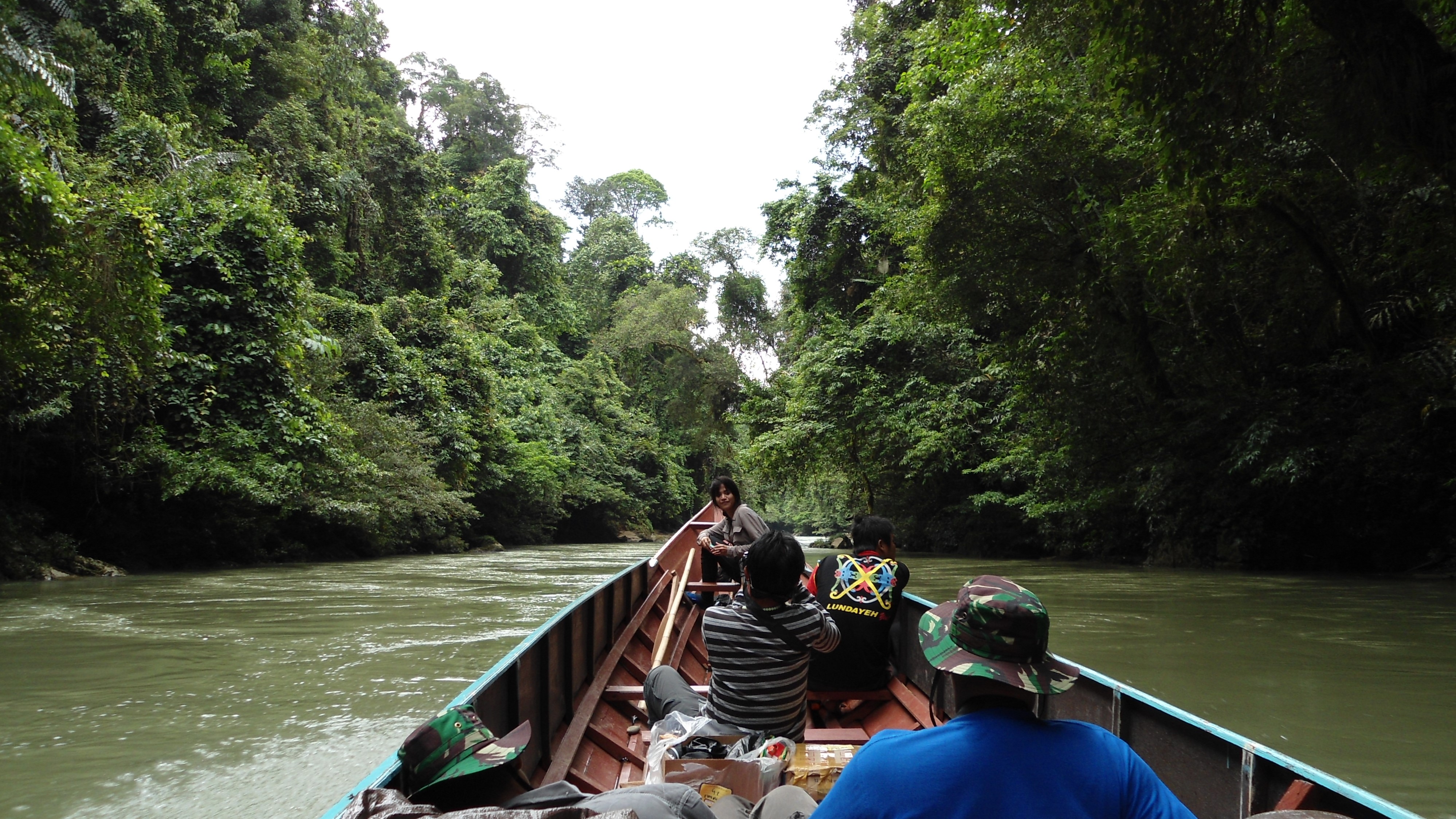 Sungai Sebangau Kalimantan